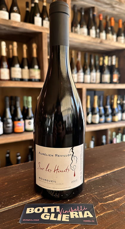 Bourgueil "Sur les Hauts" 2023