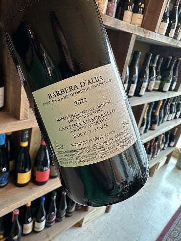 Barbera d'Alba 2022 - Bottiglieria del Borgo