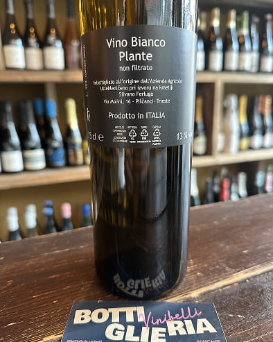 Plante 2023 - Bottiglieria del Borgo