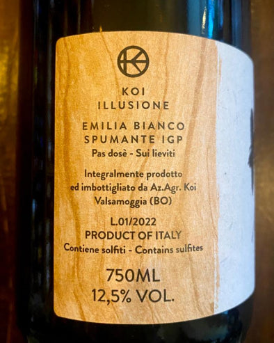 Illusione