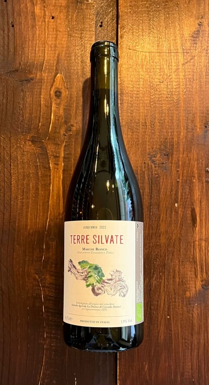 Terre Silvate 2022