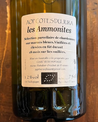 Ammonites 2022