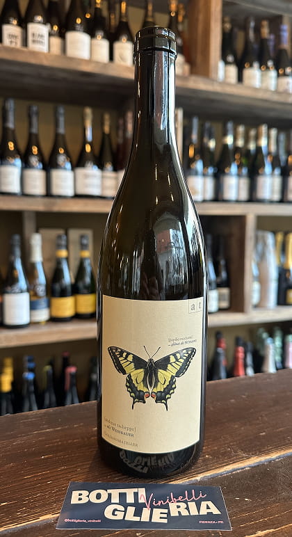 Goldmuskateller Schwalbenschwanz 2023 - Bottiglieria del Borgo