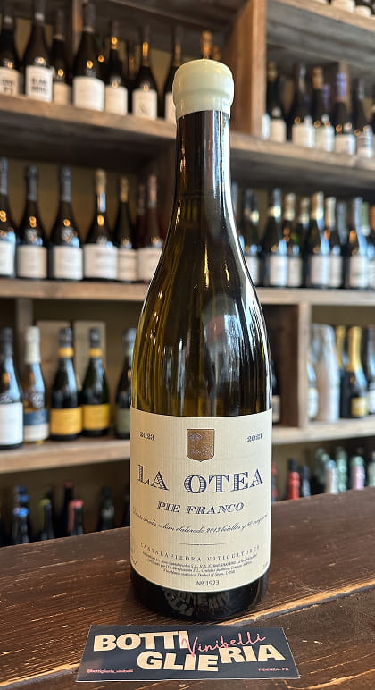 La Otea Pie Franco Verdejo 2023 - Bottiglieria del Borgo