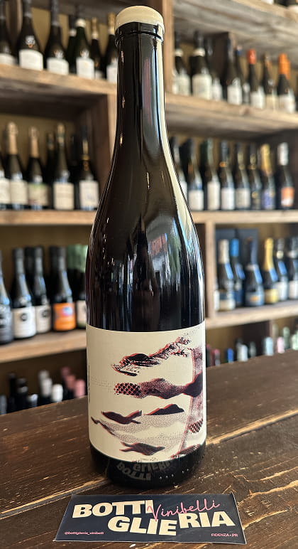 Savigny Dessus de Montchenevoy 2024 - Bottiglieria del Borgo