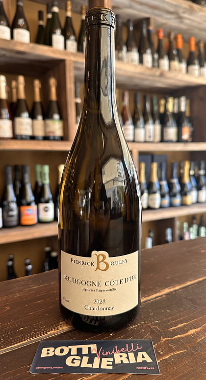 Bourgogne Cote d'Or Chardonnay 2023