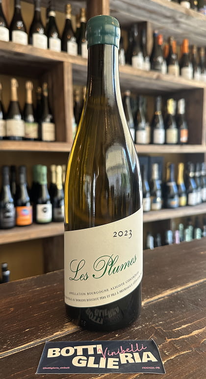 Bourgogne Aligote "Les Plume" Sans Soufre 2023