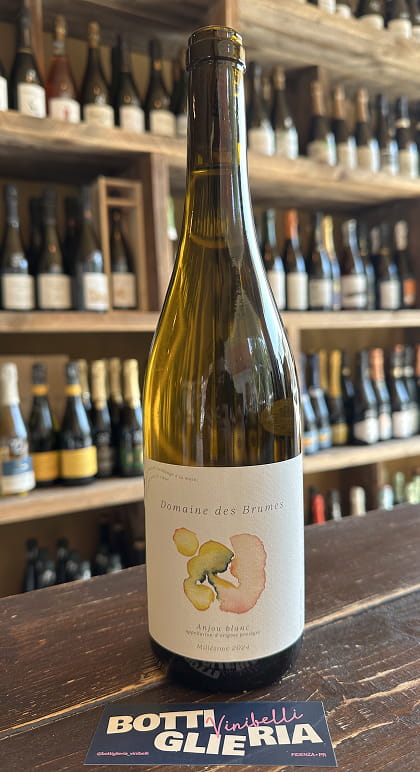 Anjou Blanc 2024