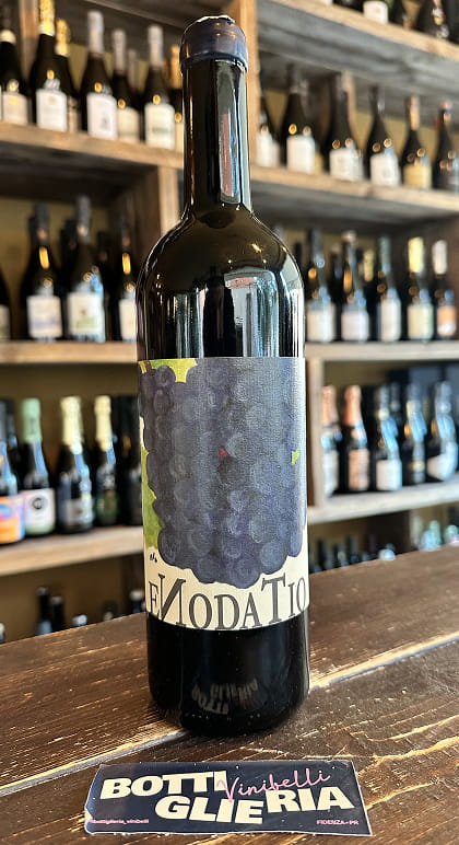 Langhe Merlot Enodatio 2020