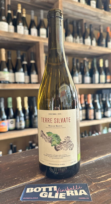 MARCHE