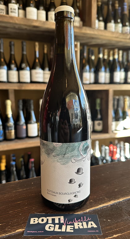 Coteaux Bourguignons 2024 - Bottiglieria del Borgo