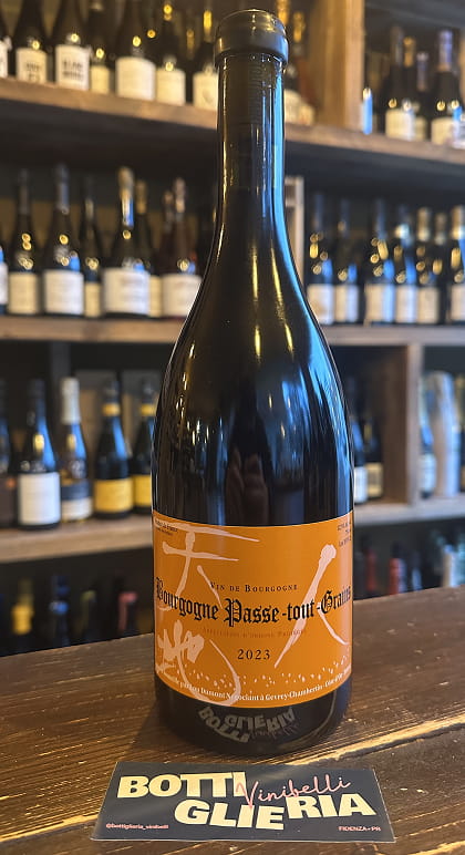 Bourgogne Passe-Tout-Grains 2023 - Bottiglieria del Borgo