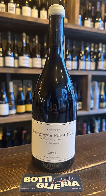 Bourgogne Pinot Noir Vieilles Vignes 2023 - Bottiglieria del Borgo