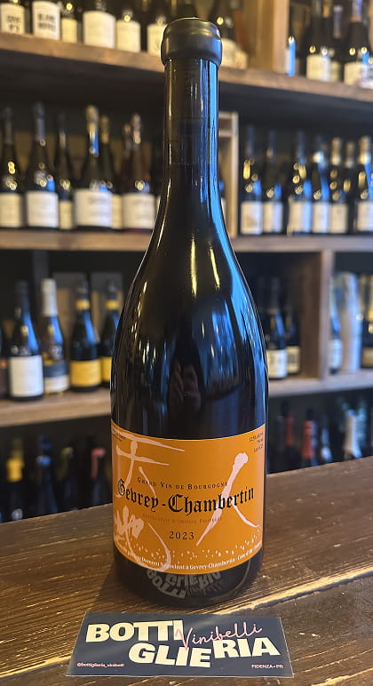 Gevrey Chambertin 2023 - Bottiglieria del Borgo