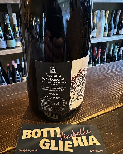 Savigny Les Beaune "Les Goudelettes" 2023