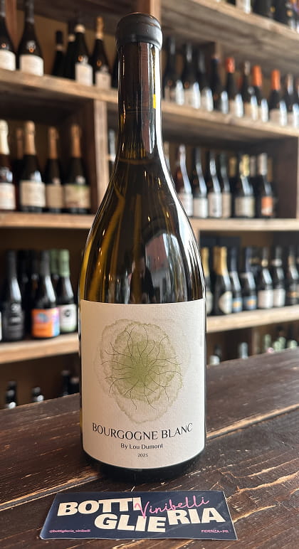 Bourgogne Blanc Bio 2023