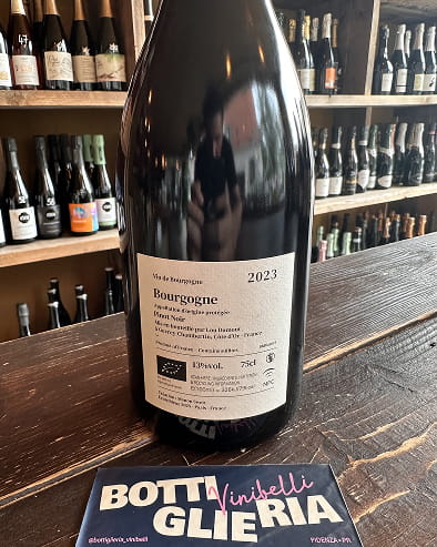Bourgogne Rouge Bio 2023