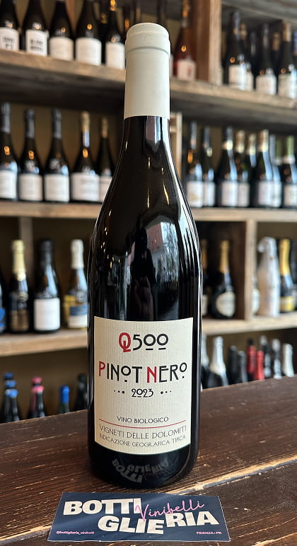 Q500 Pinot Nero 2023