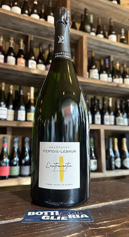 Extravertie Extra Brut Magnum Deg.02/25