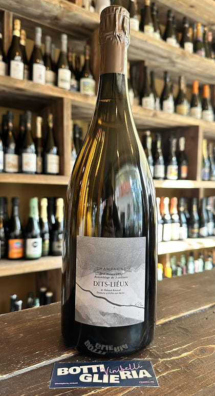 Dits-Lieux Brut Nature Magnum V.23