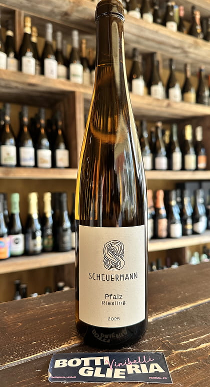 Riesling Pfalz 2025