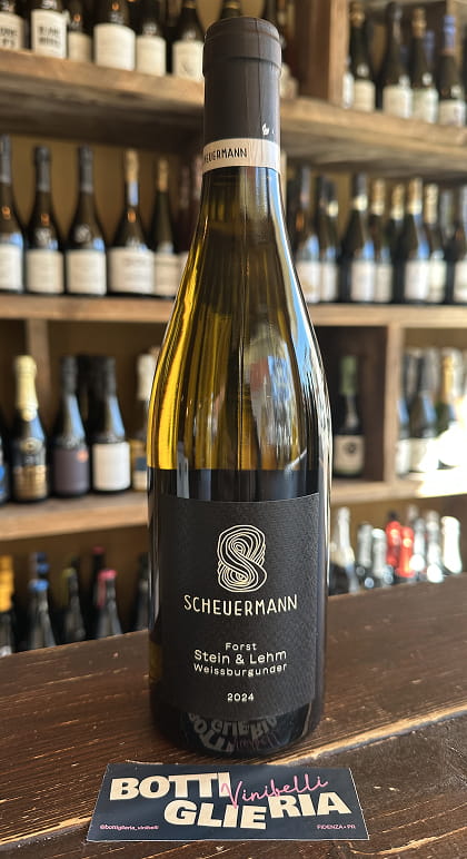 Weissburgunder Stein & Lehm 2024 - Bottiglieria del Borgo