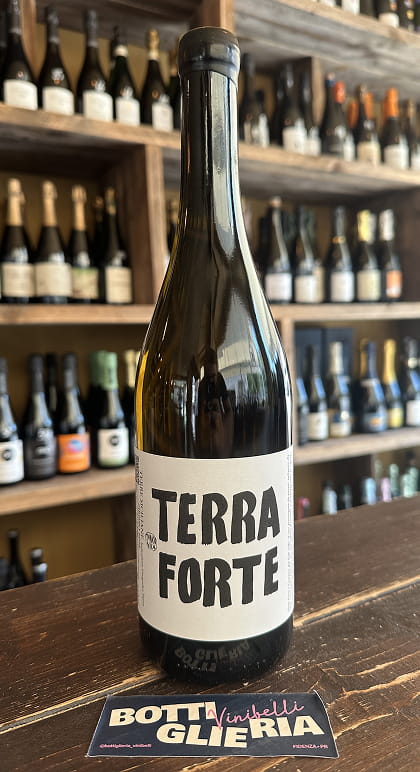 Terra Forte 2025