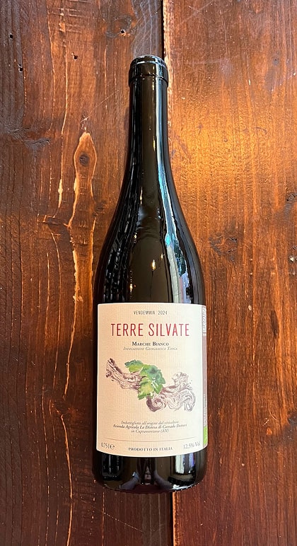 Terre Silvate 2024