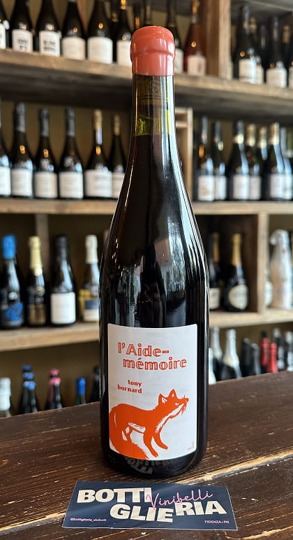 Pinot Noir L'Aide Memoire Rouge 2022 - Bottiglieria del Borgo