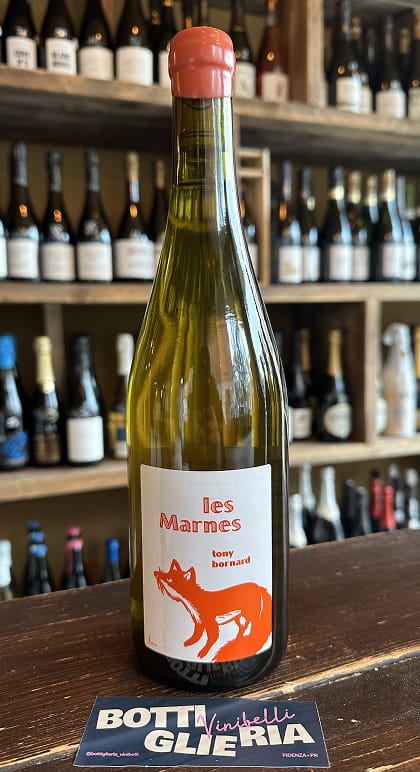 Savagnin Les Marnes 2018